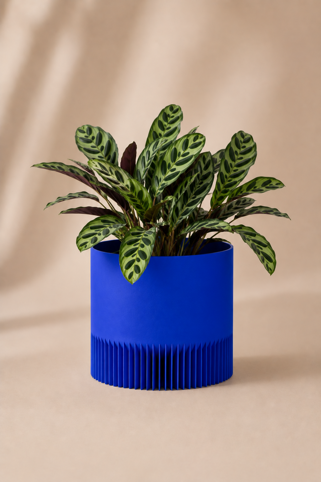 Cache pot Zirrik bleu