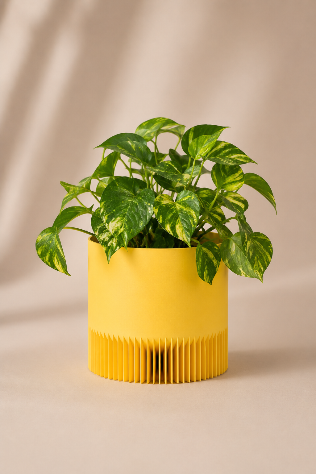 Cache pot Zirrik jaune