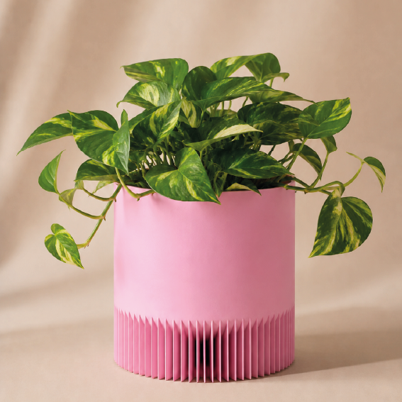 Cache pot Zirrik rose poudré